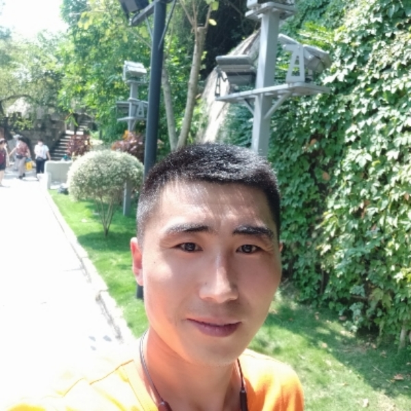 游走的独木的照片