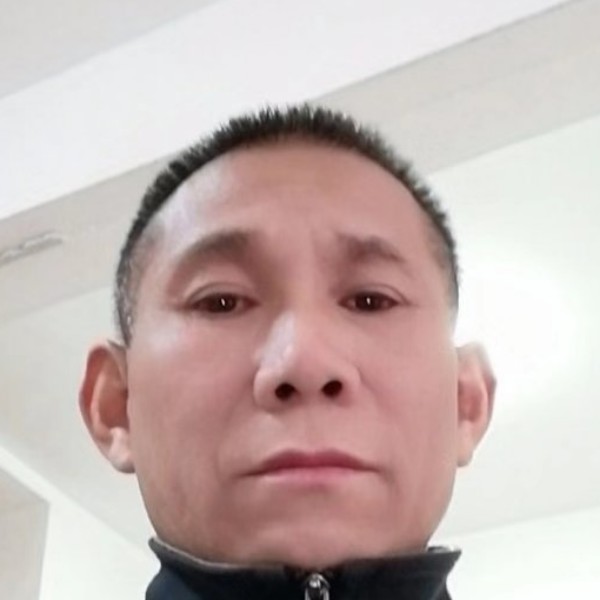 小蚂蚁糟糕的照片