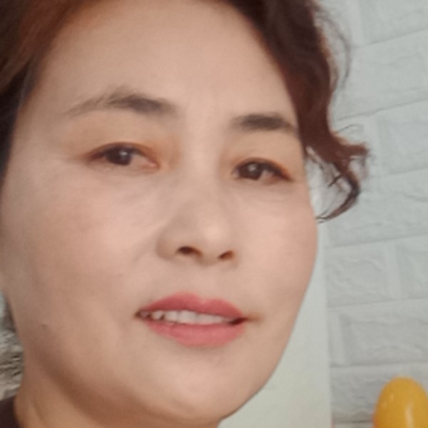 大雁邂逅过时的照片