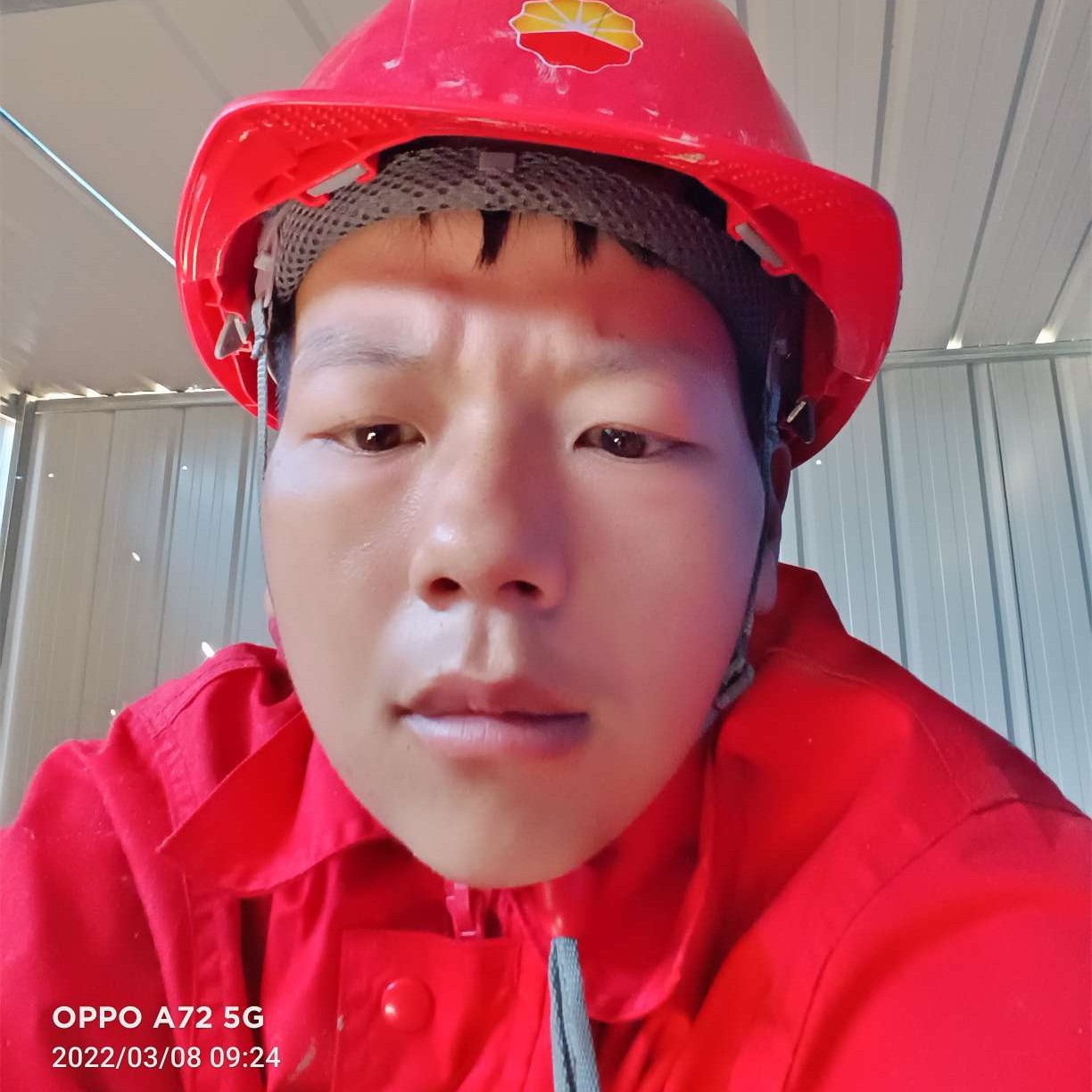 彪壮保卫月亮的照片