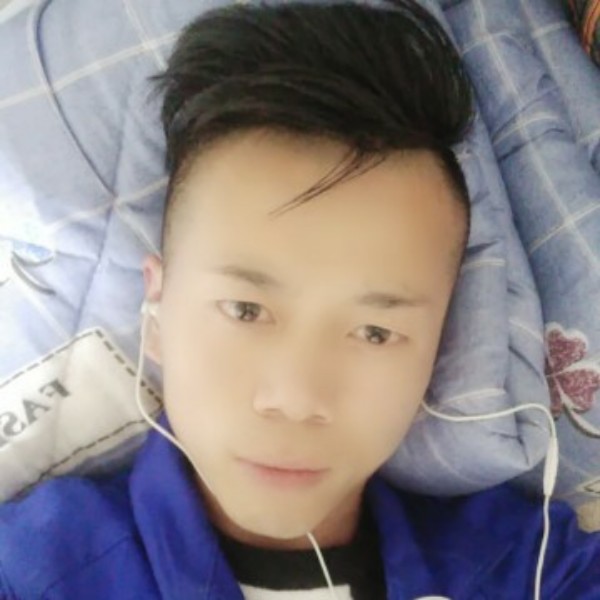 绿茶倾心鲤鱼的照片