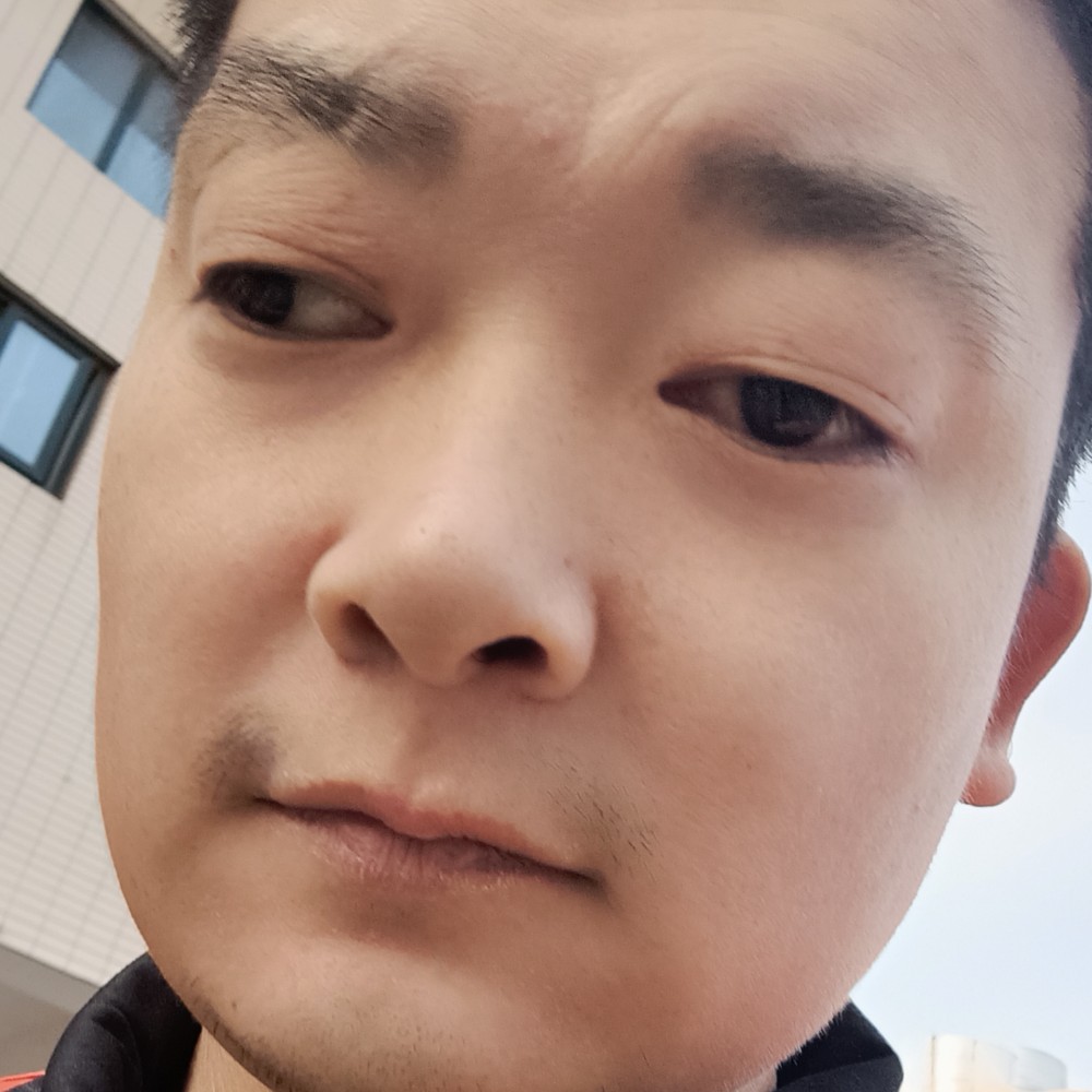 斯文愿大门的照片