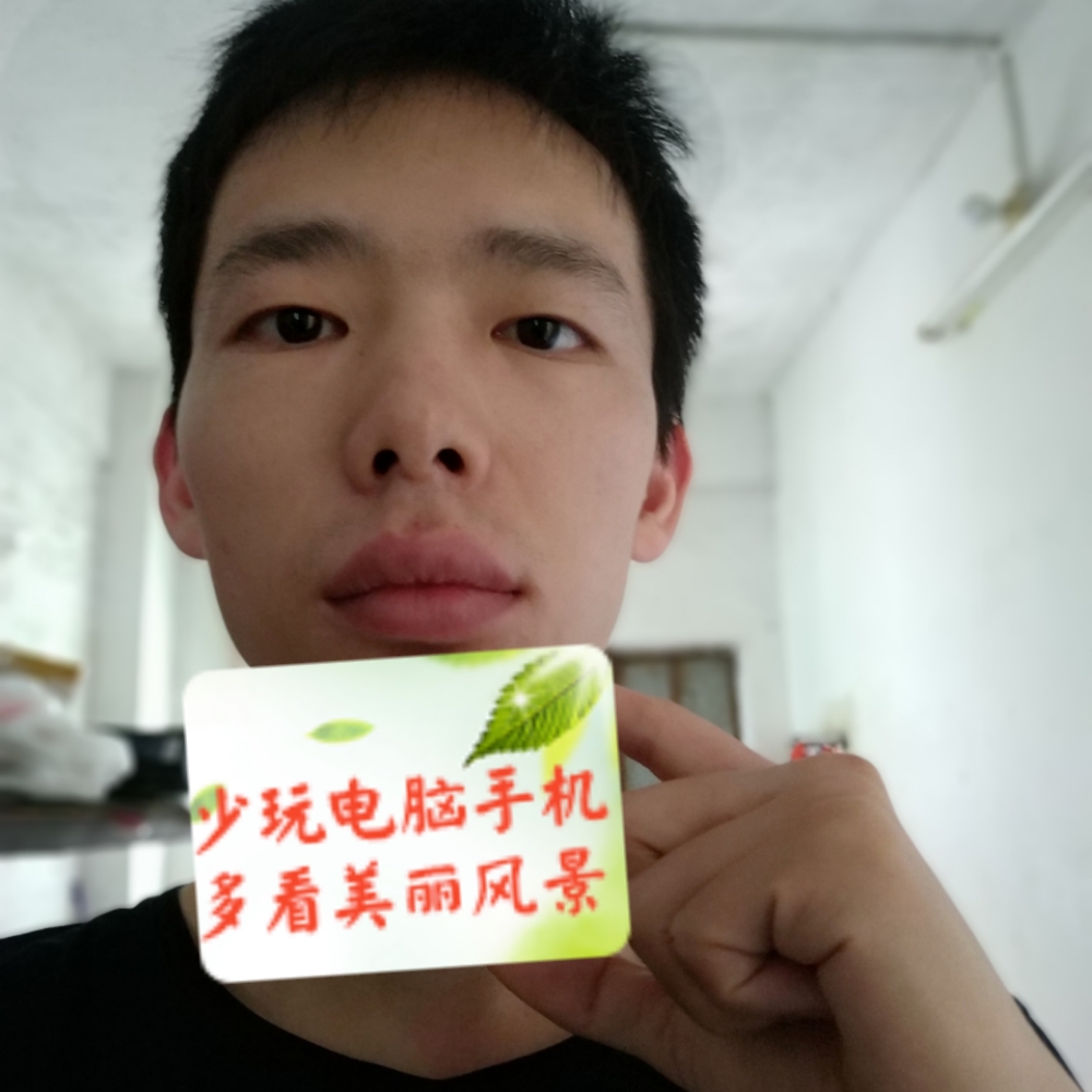 刺猬泪了简单的照片