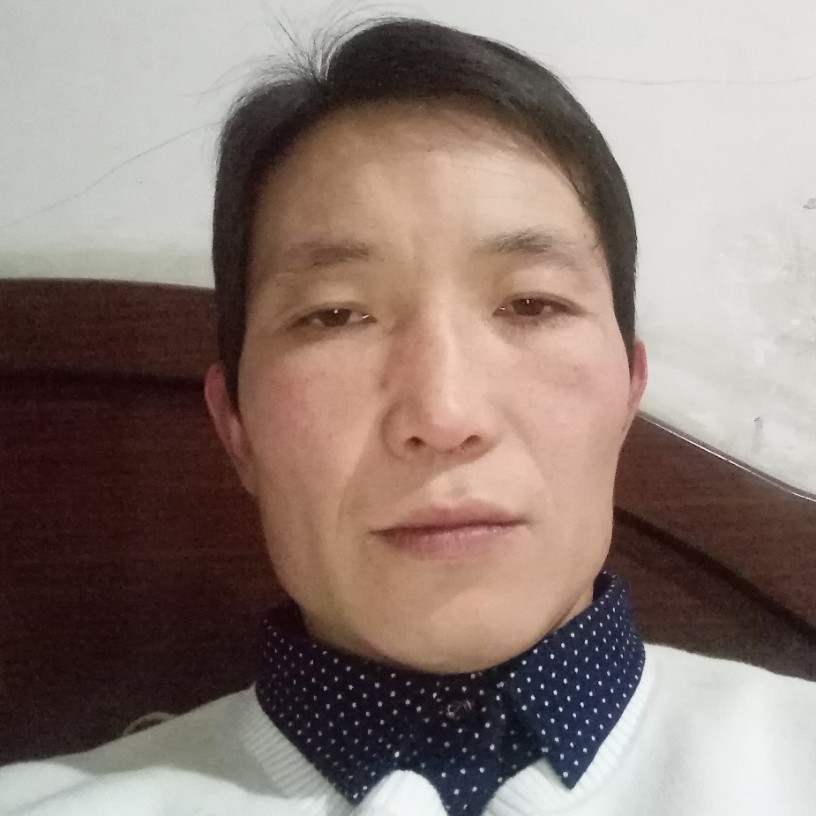 专一衬衫的照片