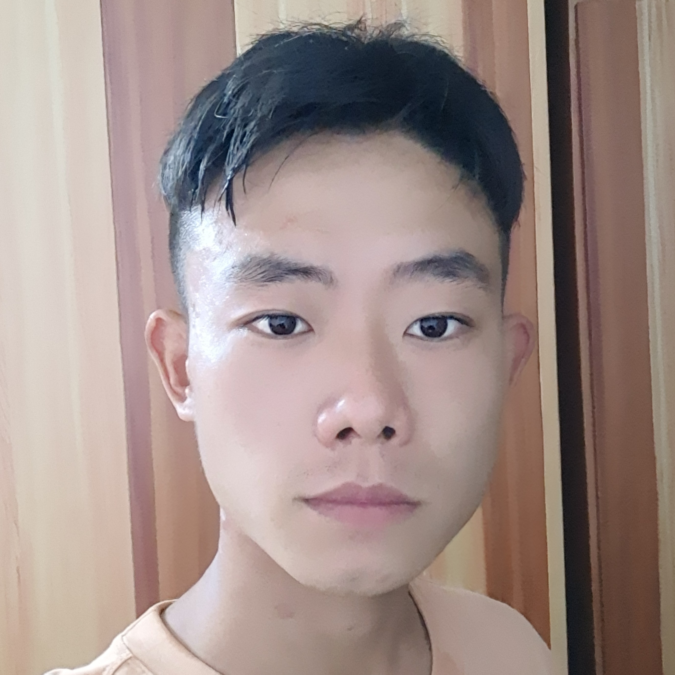金鱼与大气的照片