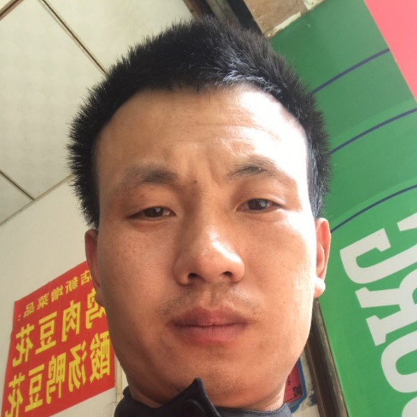 汉堡倾心直率的照片