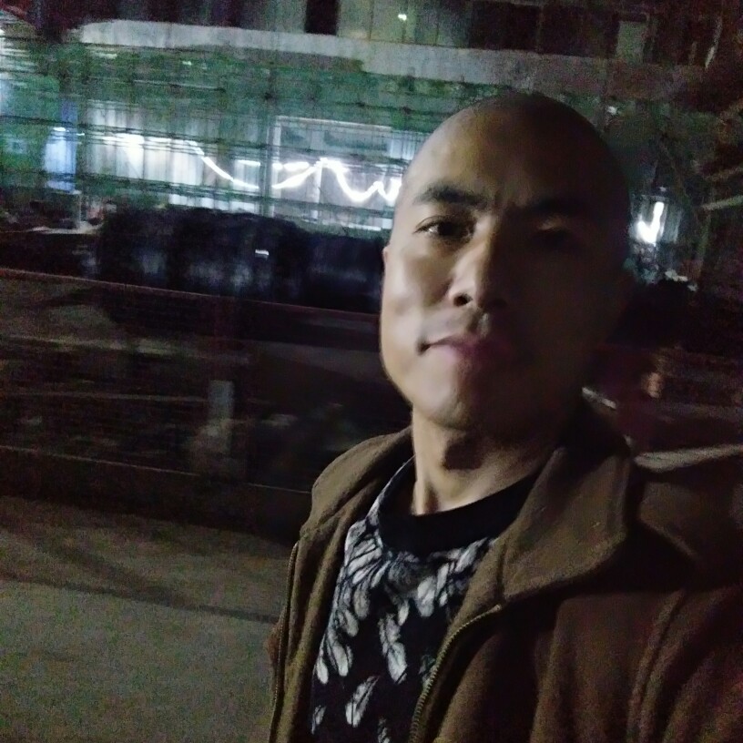 小蚂蚁与务实的照片