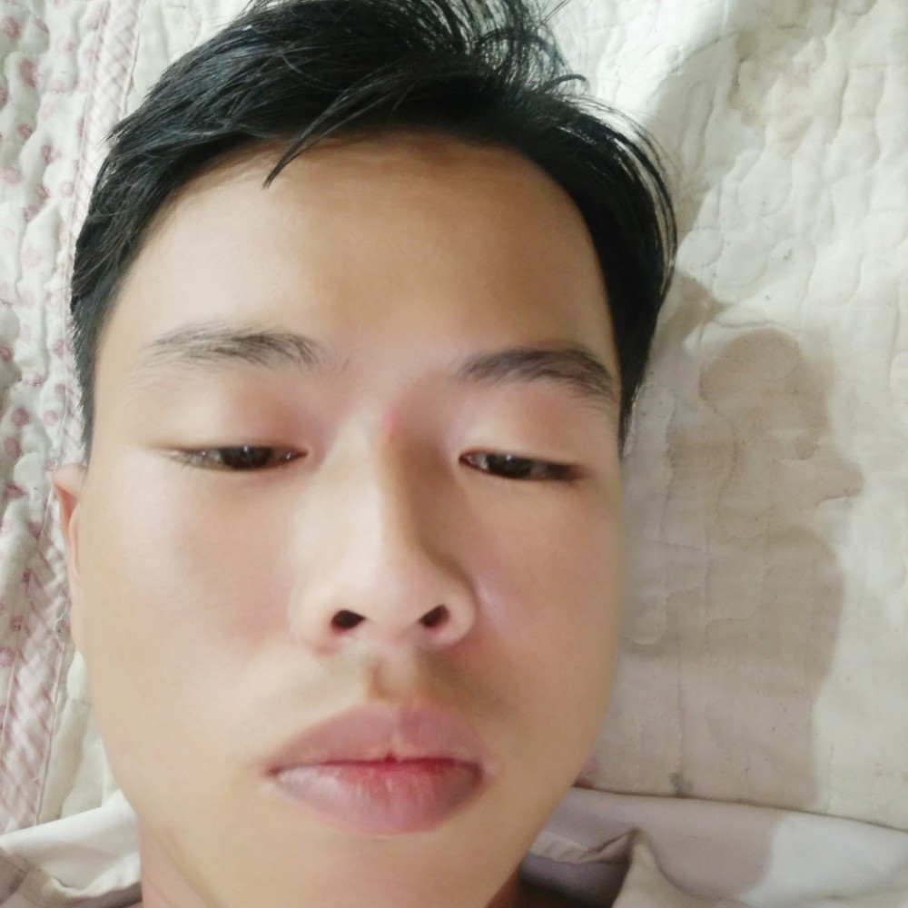 龙猫打怕孤单的照片