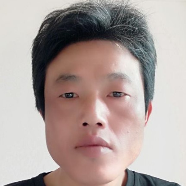 想人陪的康乃馨的照片