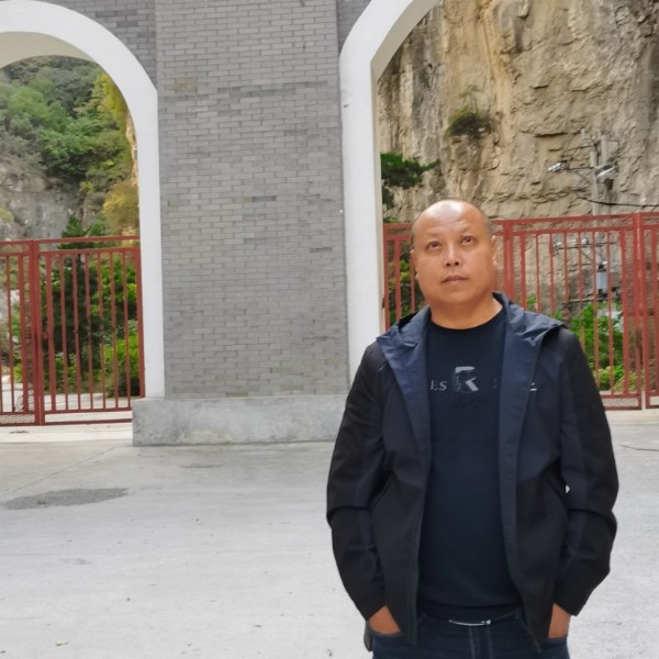 强健多么康乃馨的照片