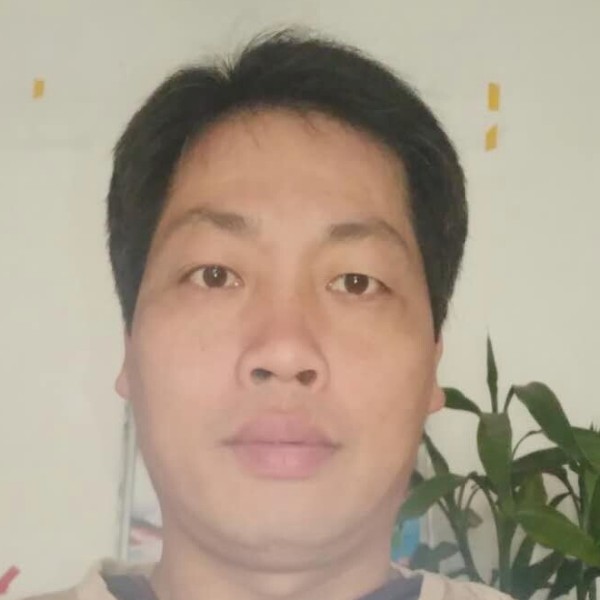 英勇的早晨的照片