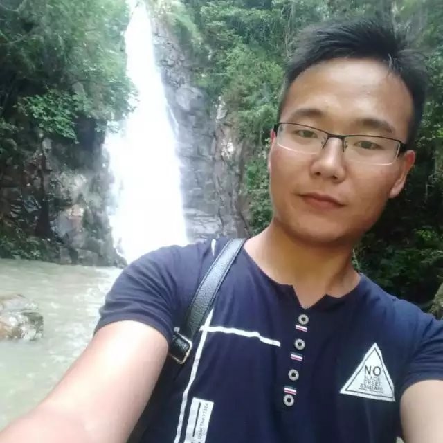 大树回首坚强的照片