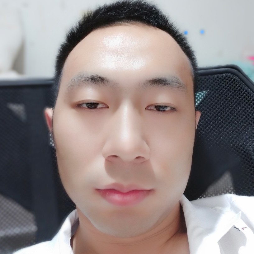 务实大象的照片