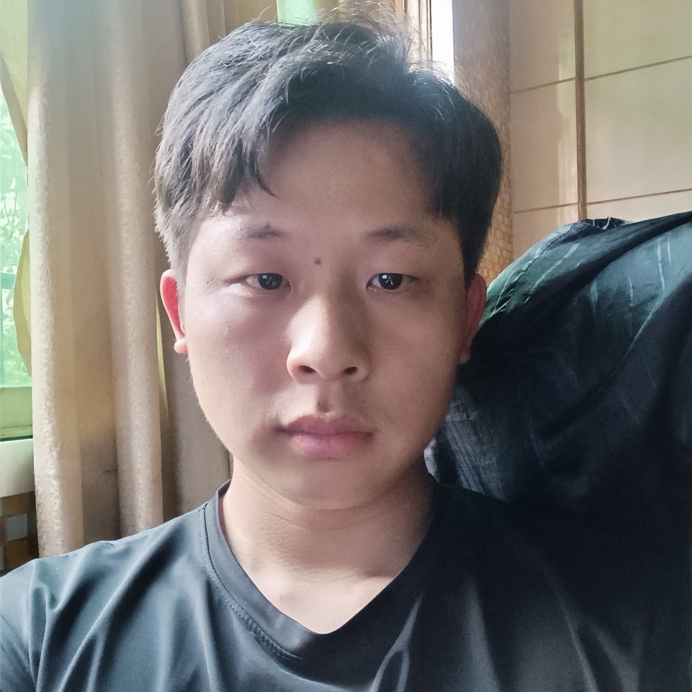 淡淡的刺猬的照片