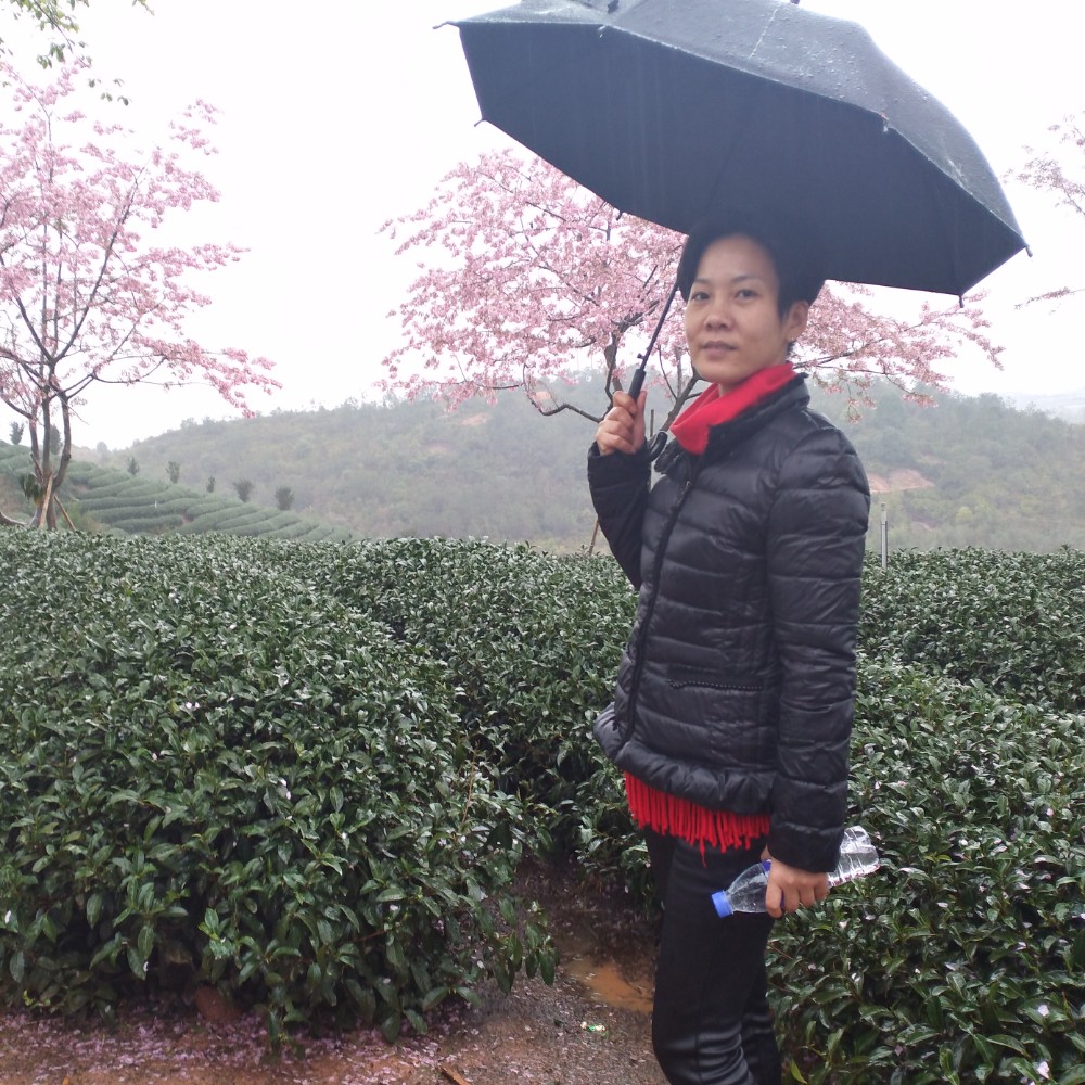 河马开心的照片