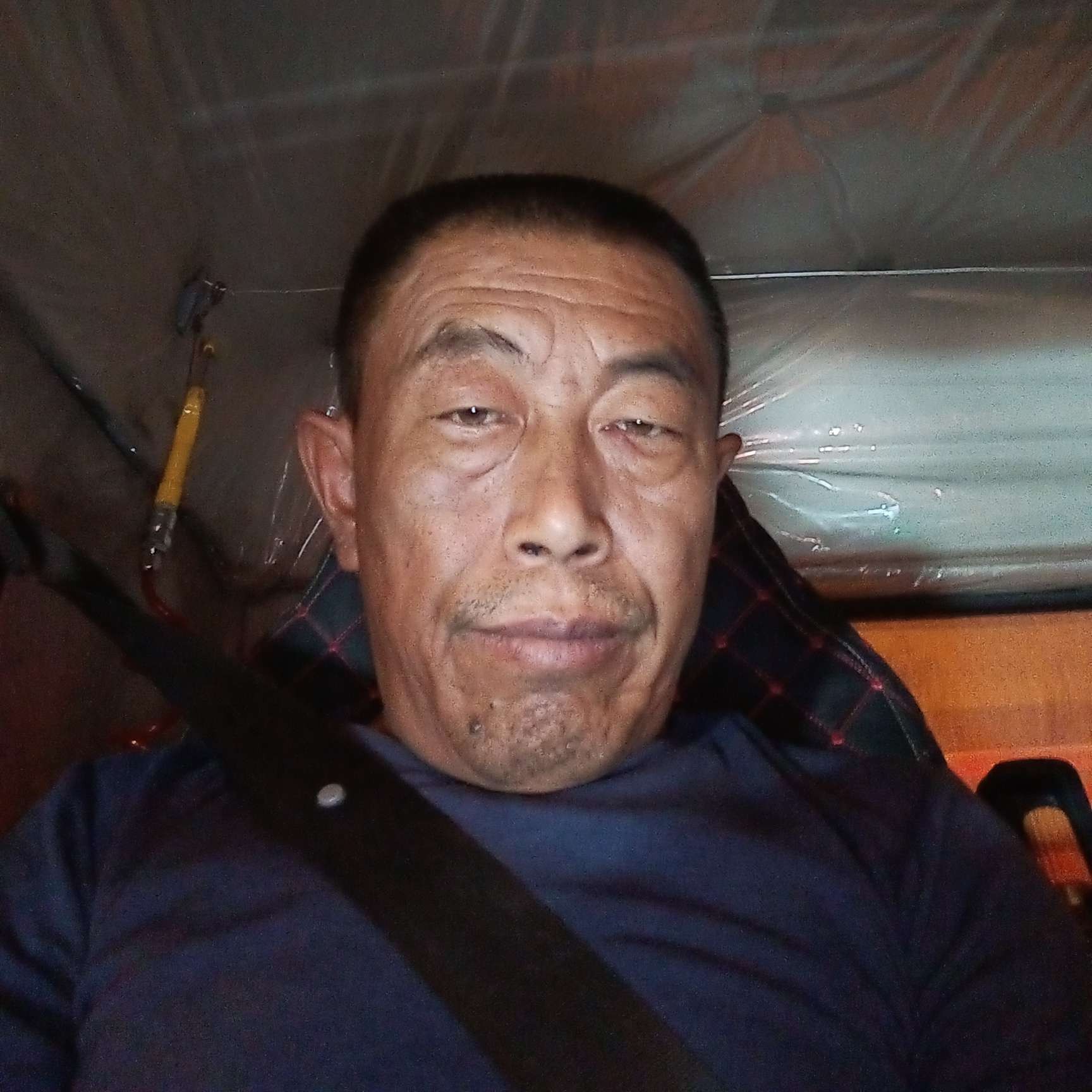 脑袋被驴踢了的照片