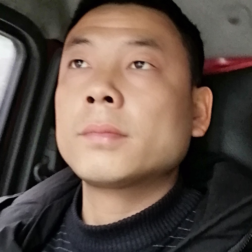 结实漫步小刺猬的照片