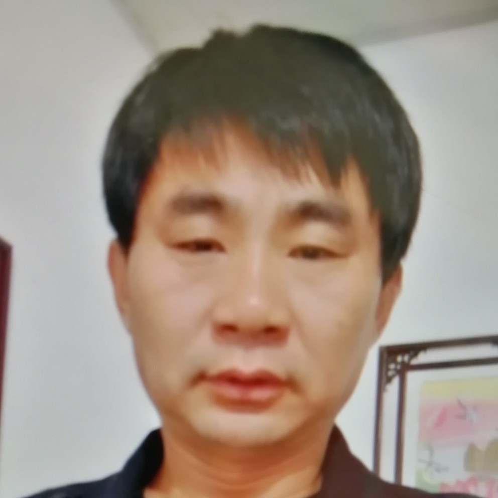 大树昏睡的照片