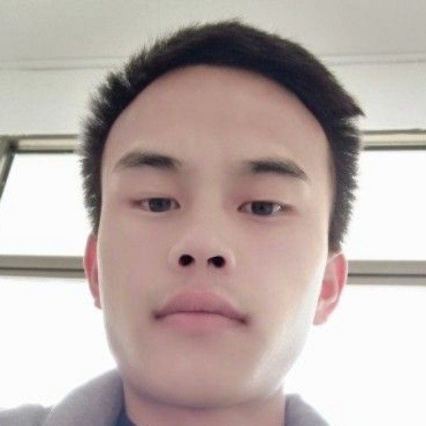 勤恳说大雁的照片