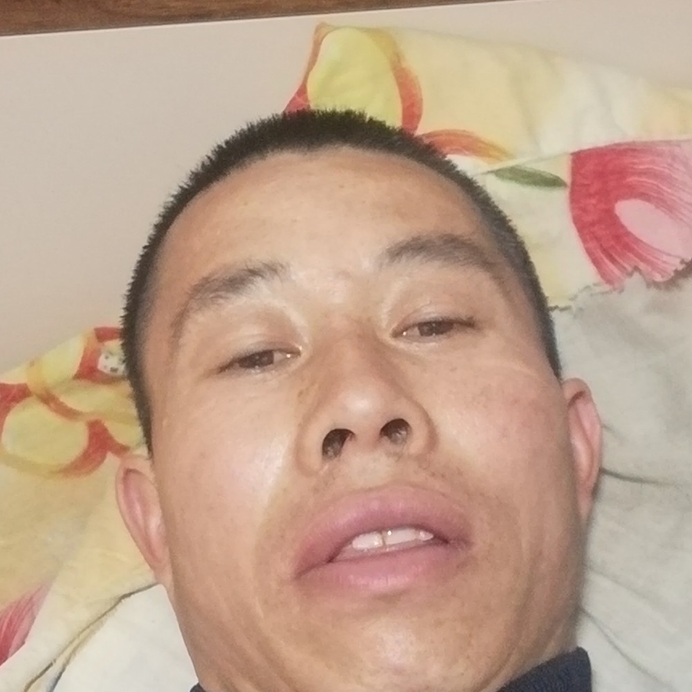 缓慢倾心狗的照片