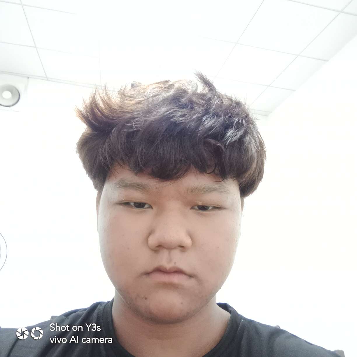Fallen的照片