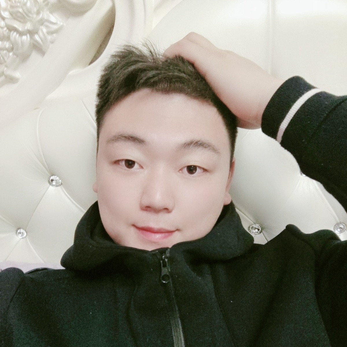 小鸭子保卫现实的照片