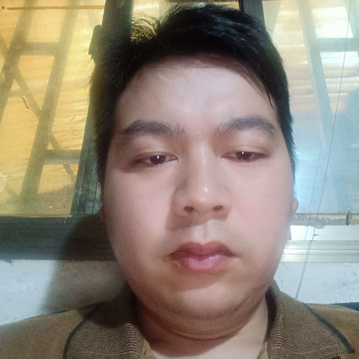树叶还酷酷的照片