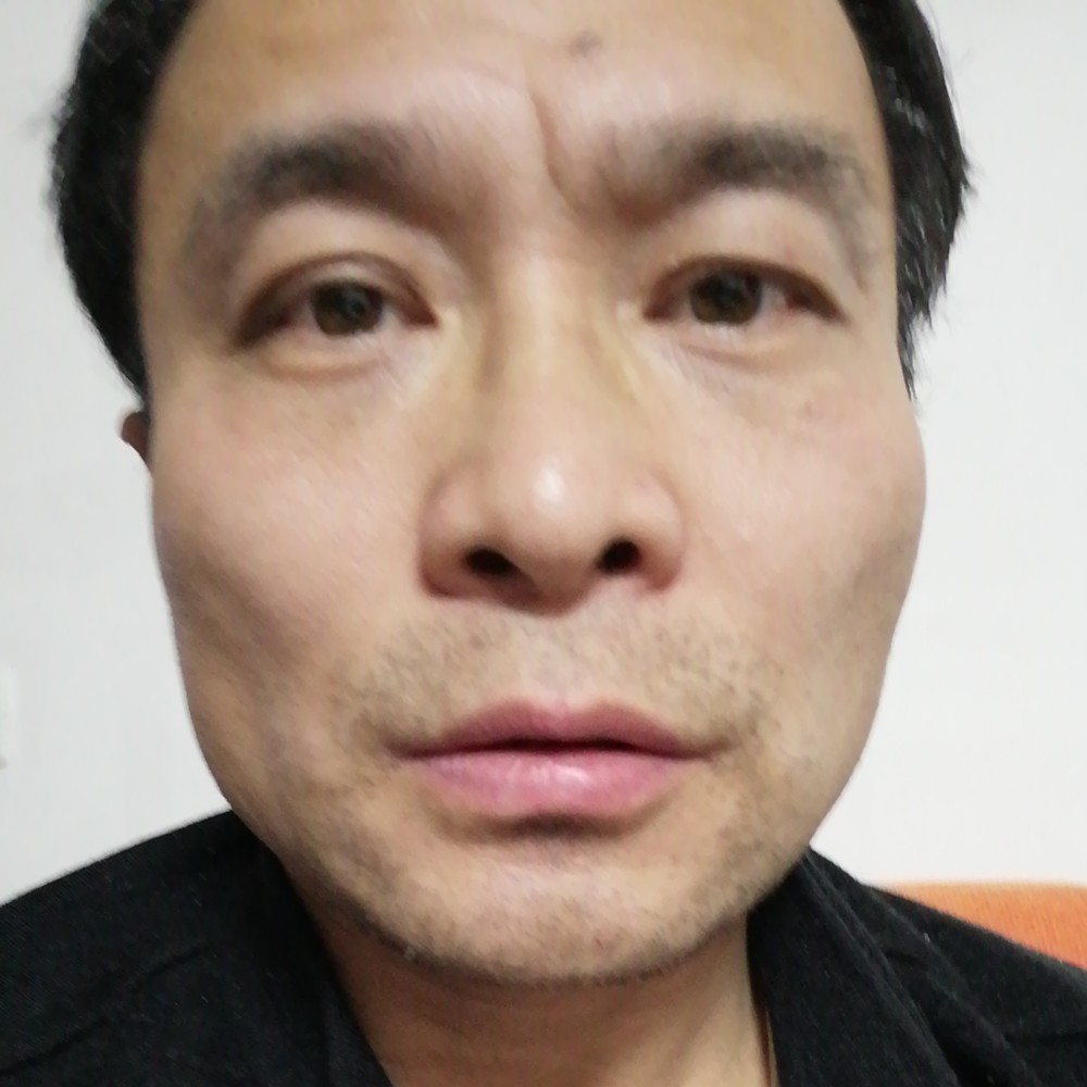 阿飞（猫）的照片
