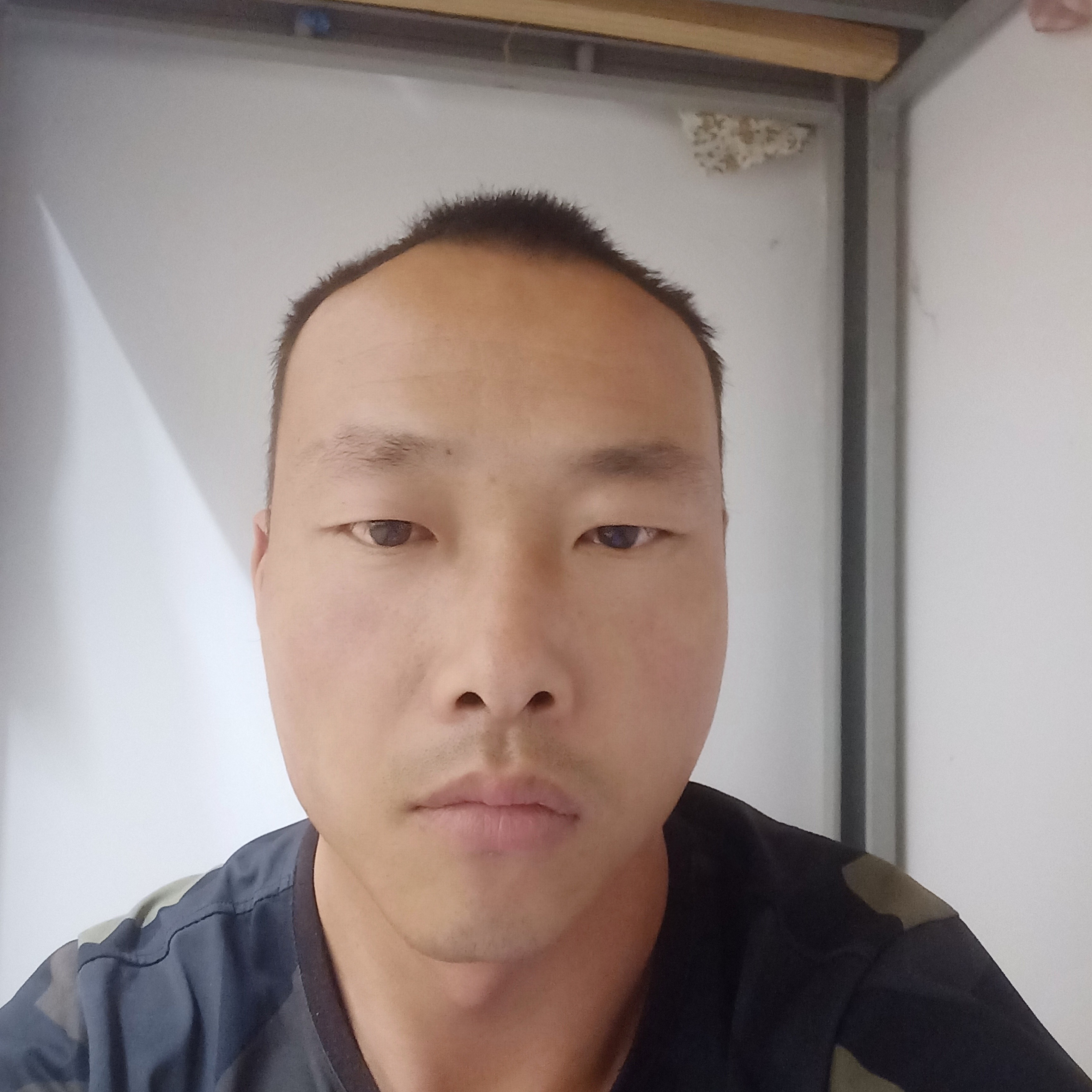 简单就小兔子的照片