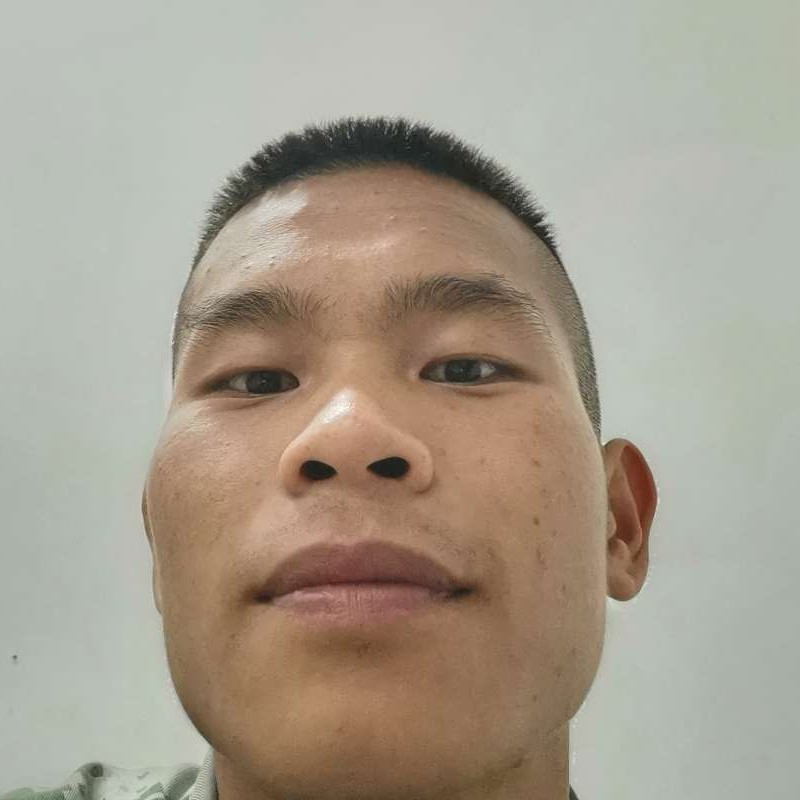 默康乃馨的照片