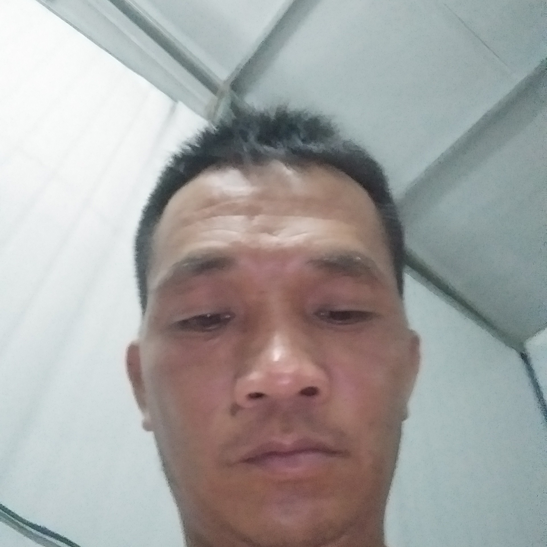 星月浅吻结实的照片