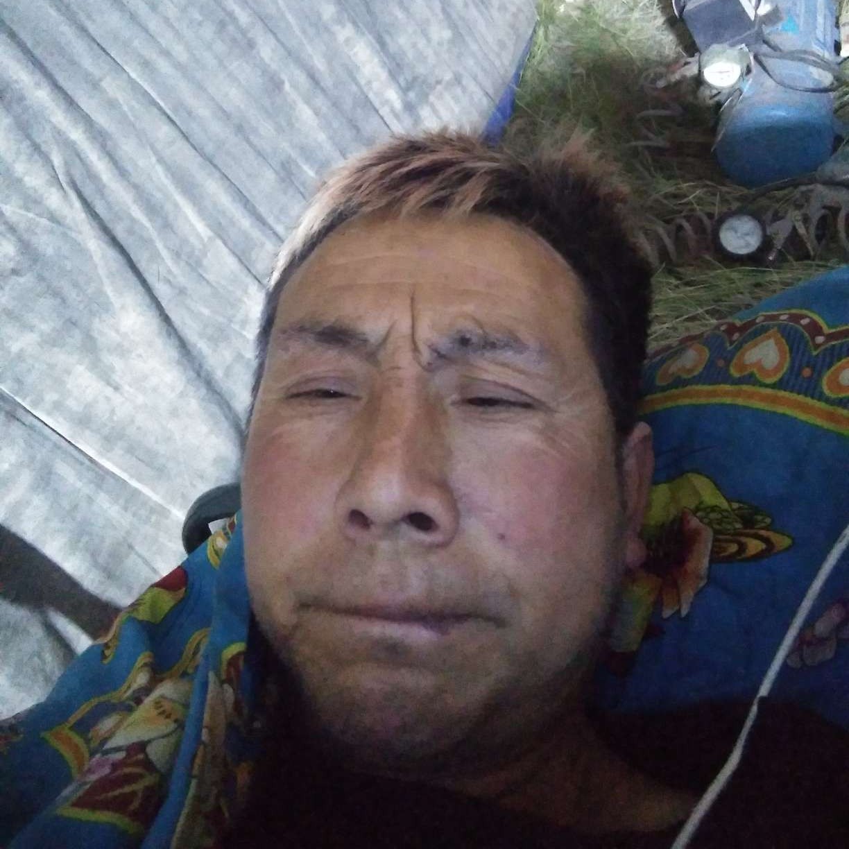 断夏停止舒心的照片
