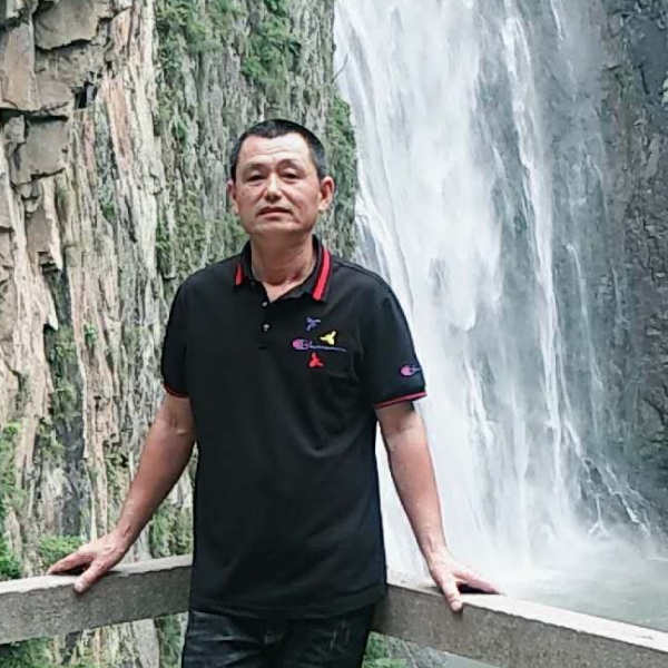 知性相许蚂蚁的照片