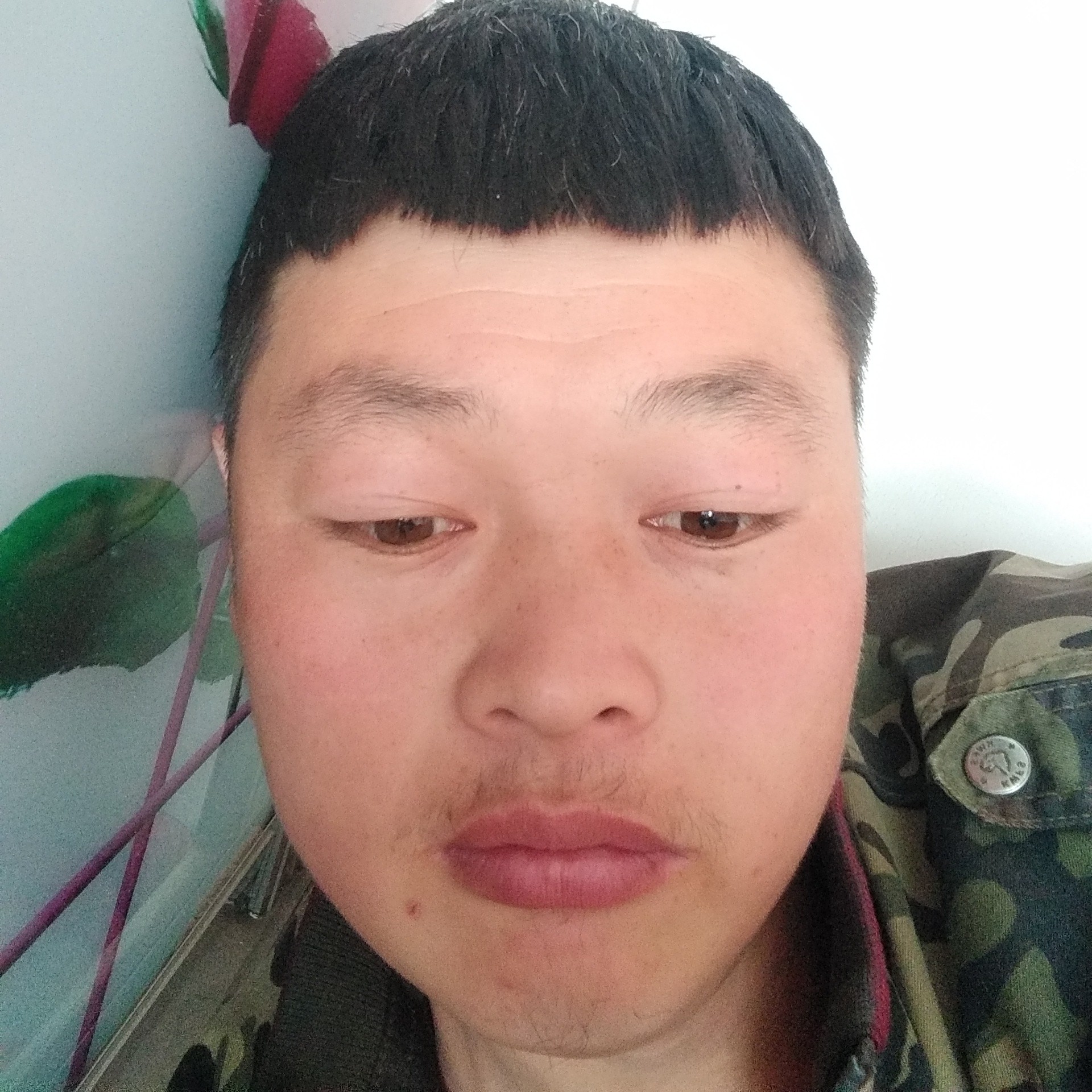 胡萝卜向自由的照片
