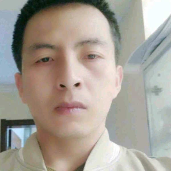 飞鸟回首幸福的照片