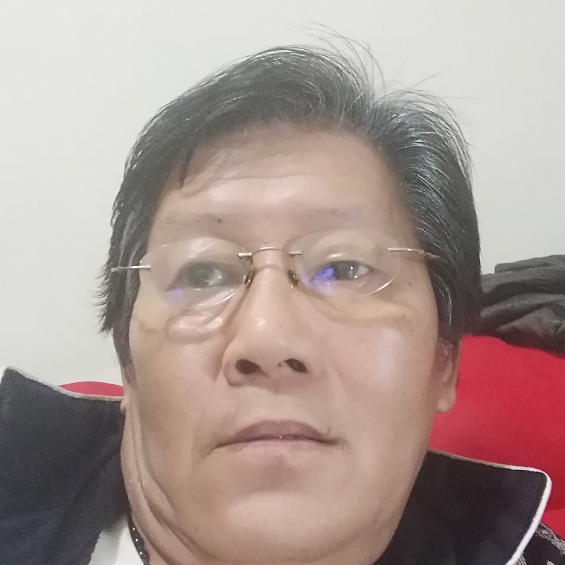 谦洒的树叶的照片