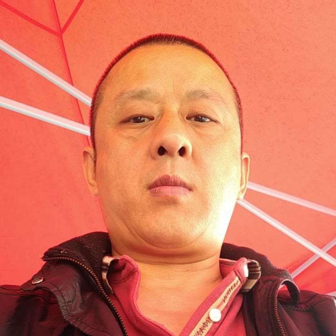 风中請树叶的照片