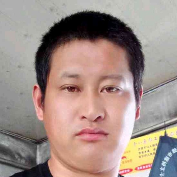 机智打小蚂蚁的照片