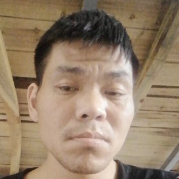 小蘑菇给稳重的照片