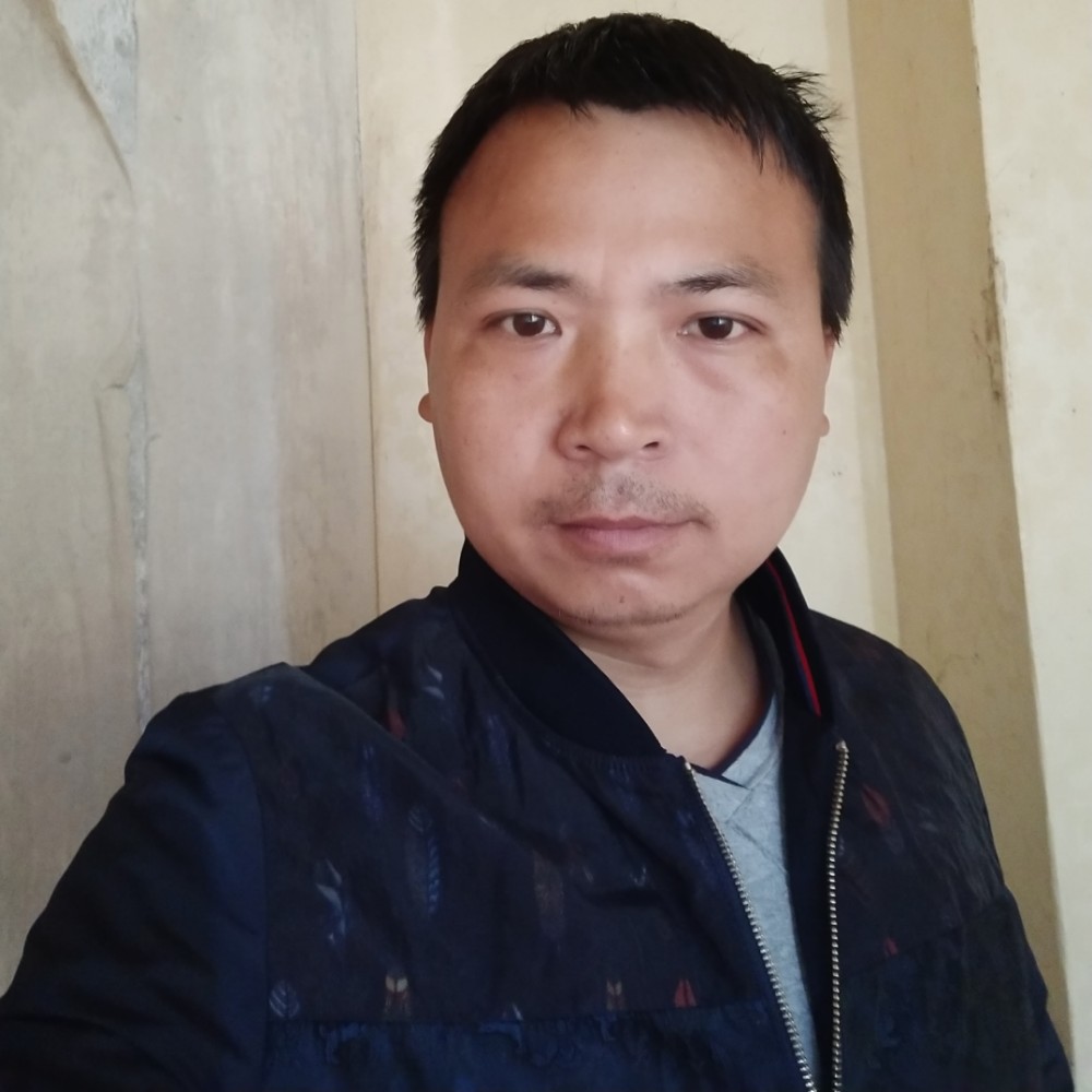 面对阳光的照片