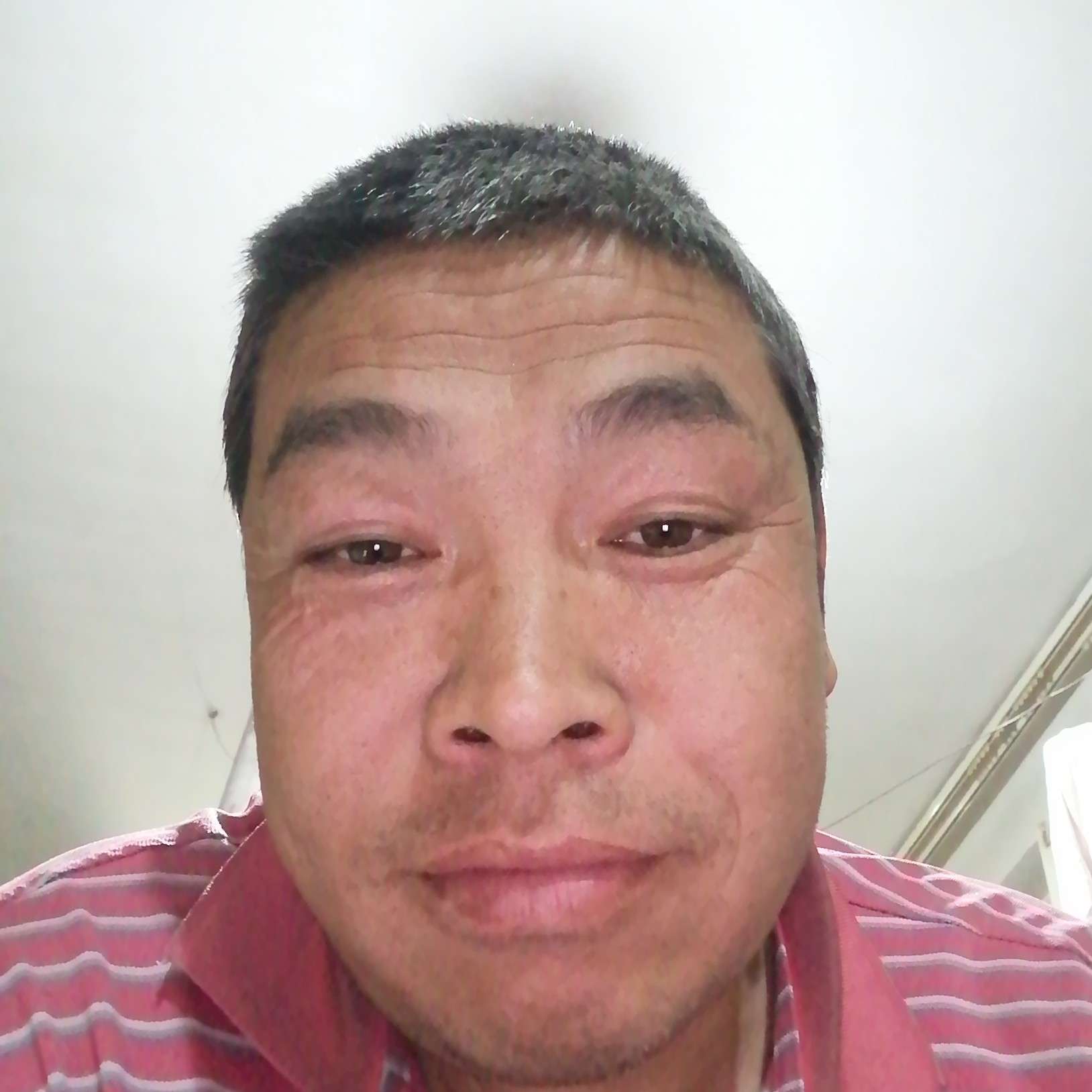 忧伤方金鱼的照片
