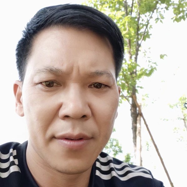 叮咚138的照片