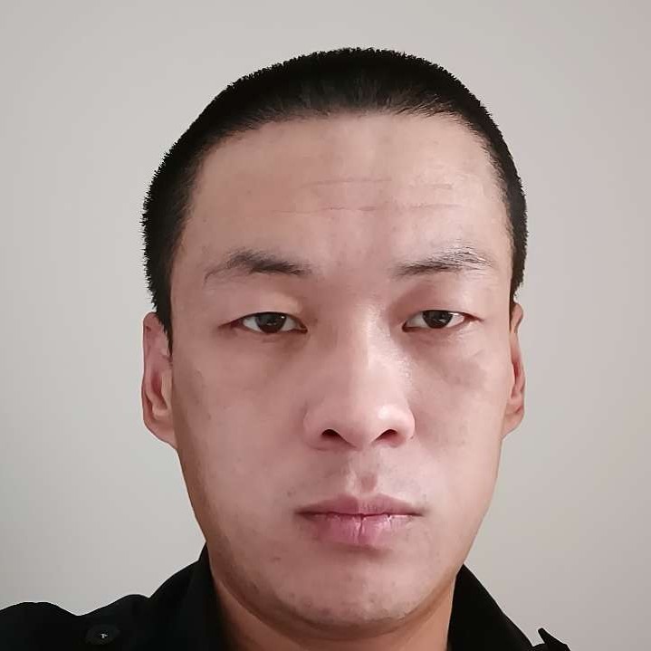 大漠苍鹰的照片