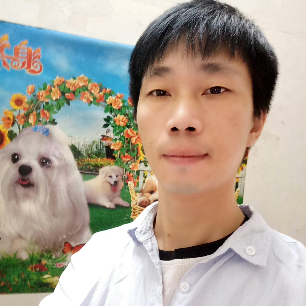 原谅我的执着的照片