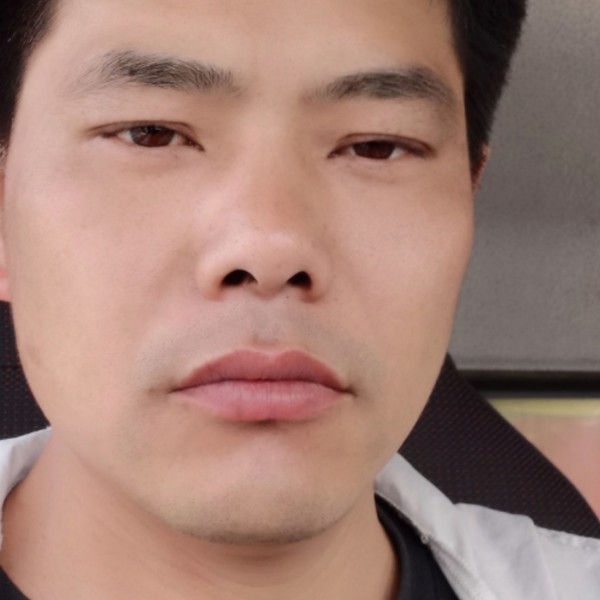 跟往事干怀的照片