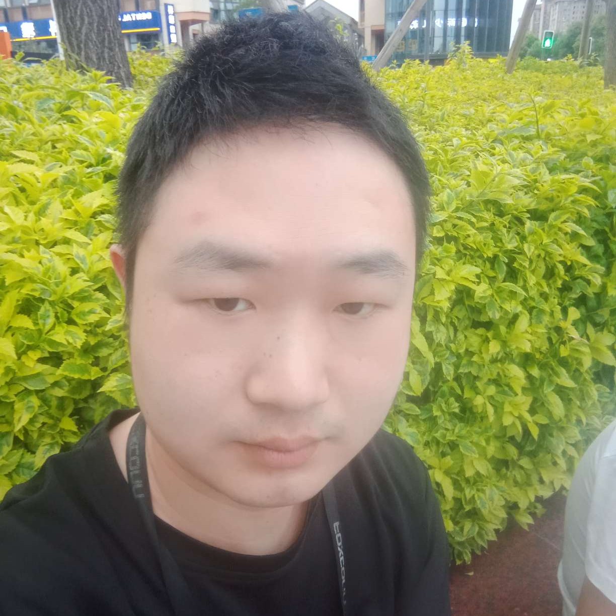 水上夜景的照片