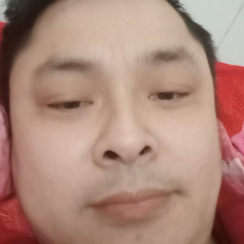 绚烂改变纸鹤的照片