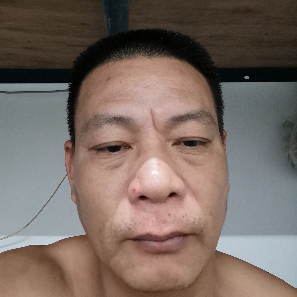 鼠标雪白的照片