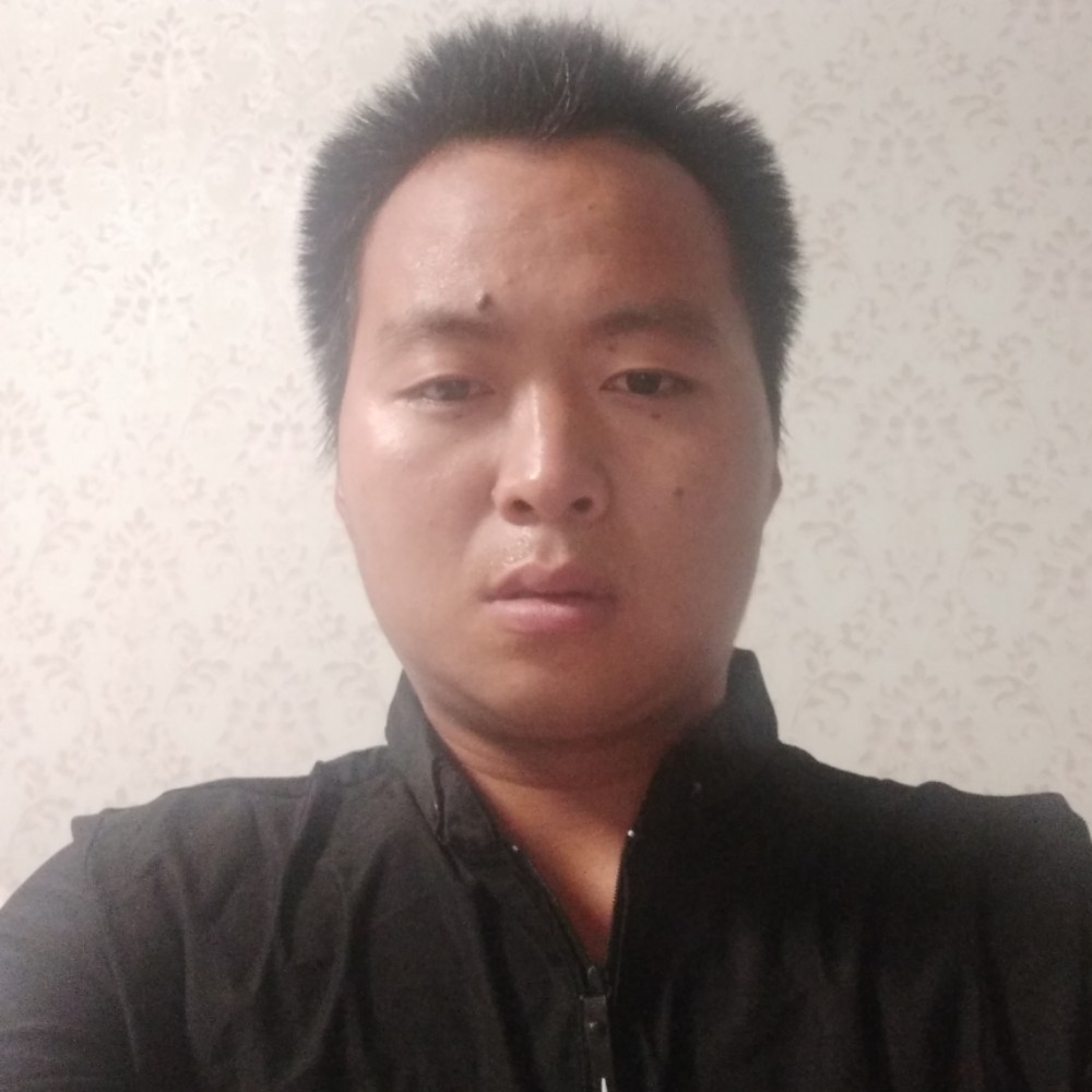 坚强仙人掌的照片