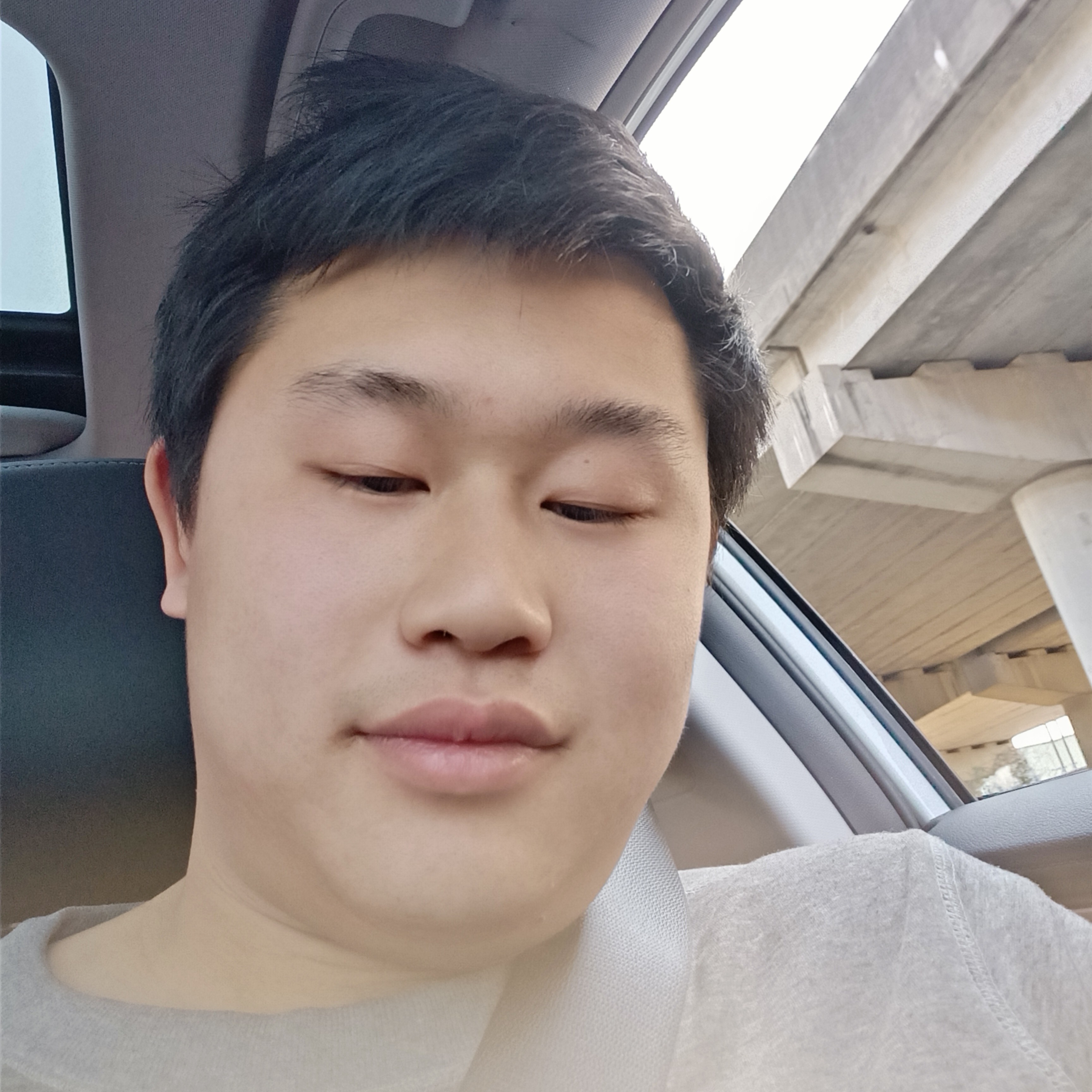 红玫瑰蹙眉追寻的照片